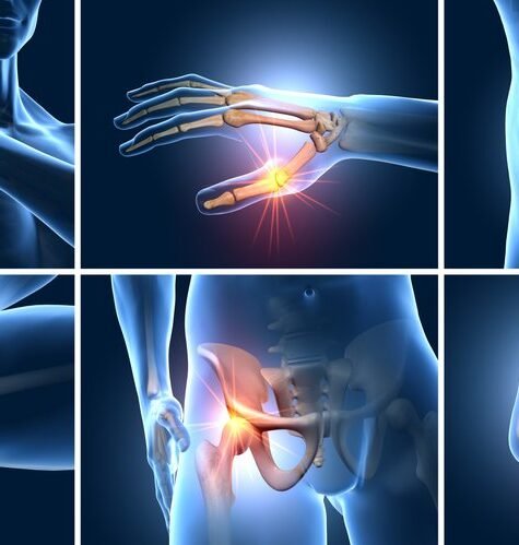 shutterstock_1857461167